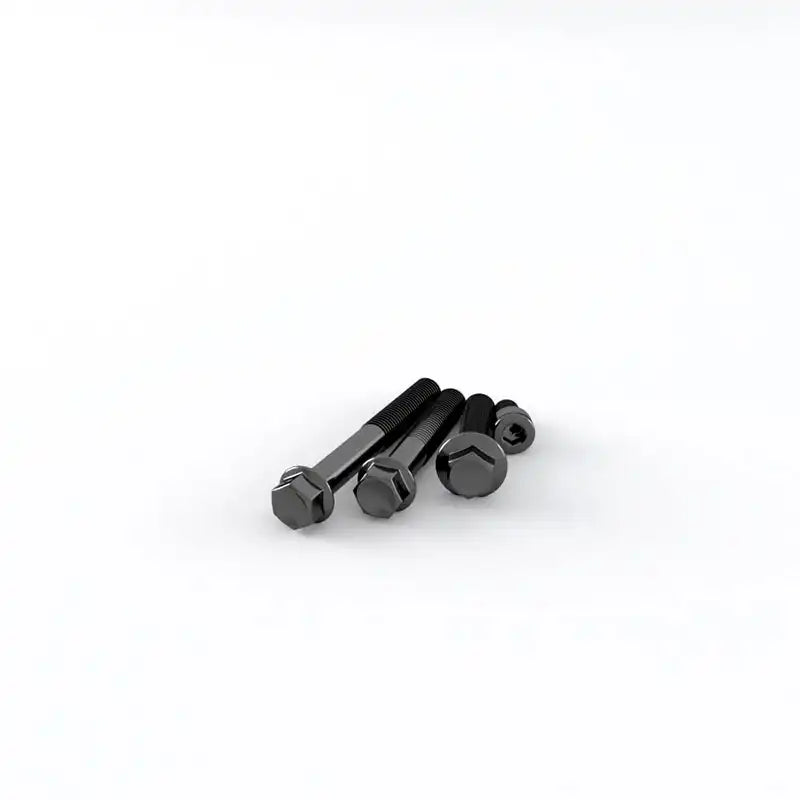 Kit de Vis de Carters Noires 