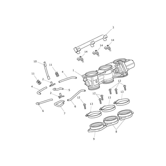 Accélérateur et Rampe d'Injection Speed Triple 1200 RR Micro-Fiche