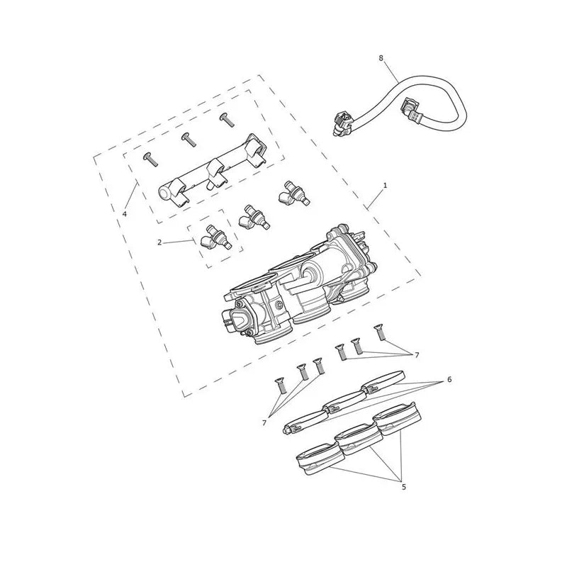 Accélérateur et Rampe d'Injection Tiger 900 Micro-Fiche