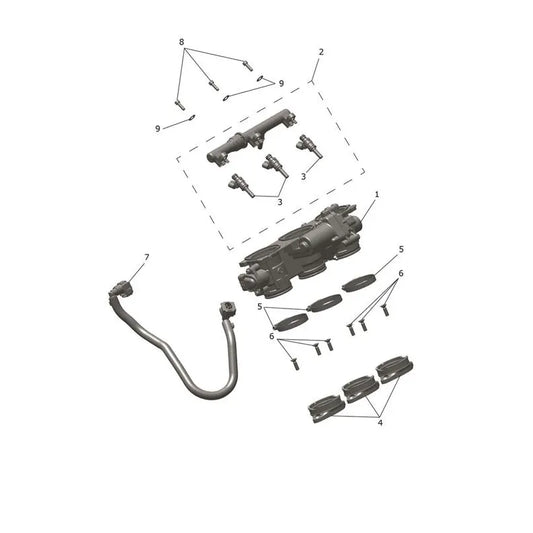 Accélérateur et Rampe d'Injection Tiger Sport 800 Micro-Fiche