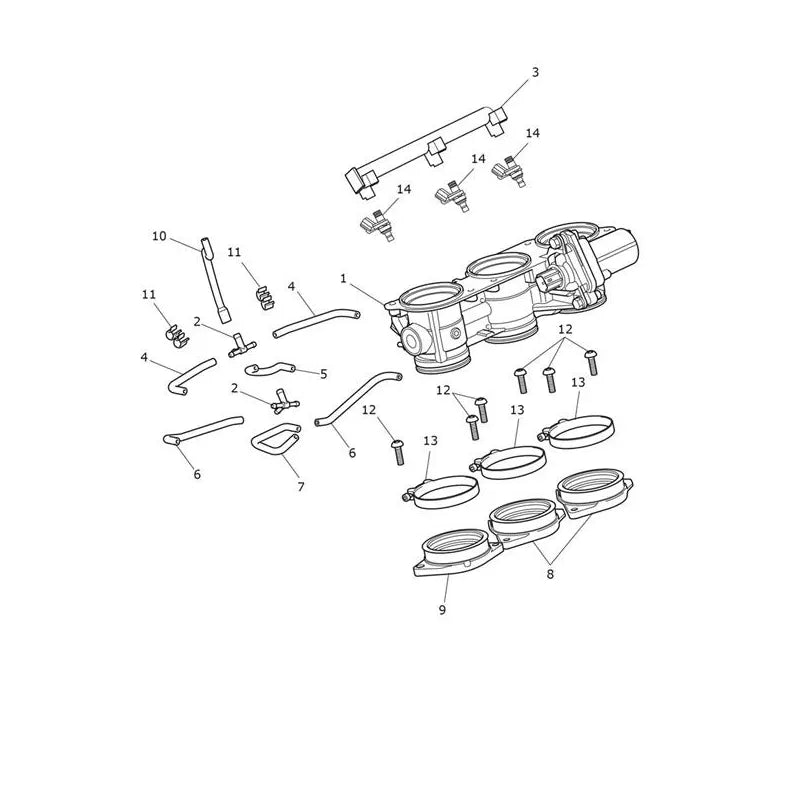 Accélérateur et Rampe d'Injection Tiger 1200 Desert Micro-Fiche
