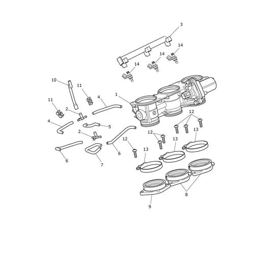 Accélérateur et Rampe d'Injection Tiger 1200 Desert Micro-Fiche