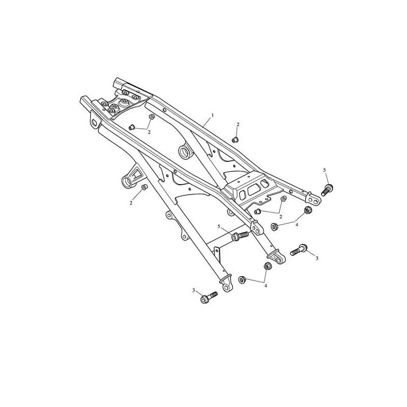 Cadre de Boucle Arrière Speed Triple 1050 (VIN 210445 à 461331) Micro-Fiche