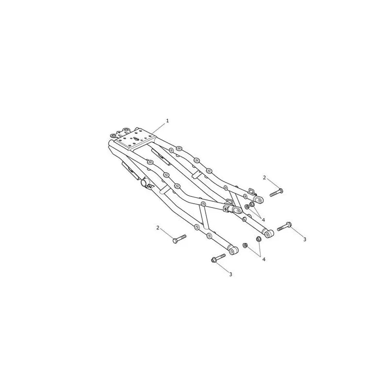 Cadre et Boucle Arrière Tiger Sport 1050 VIN à partir de 750470 Micro-Fiche