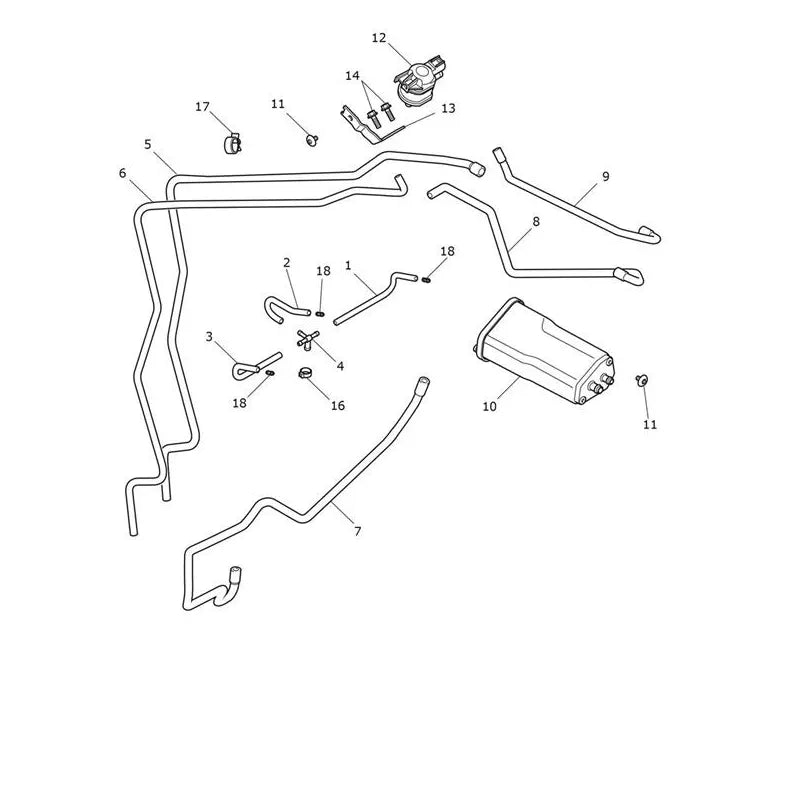 Canister Tiger 900 Rally