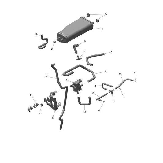 Canister Tiger Sport 800 Micro-Fiche
