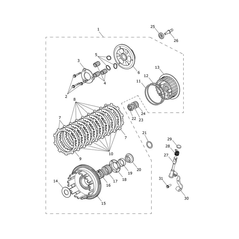 Embrayage Tiger Sport 800 Tour Micro-Fiche
