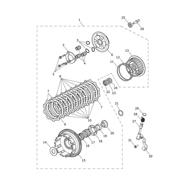 Embrayage Tiger Sport 800 Micro-Fiche