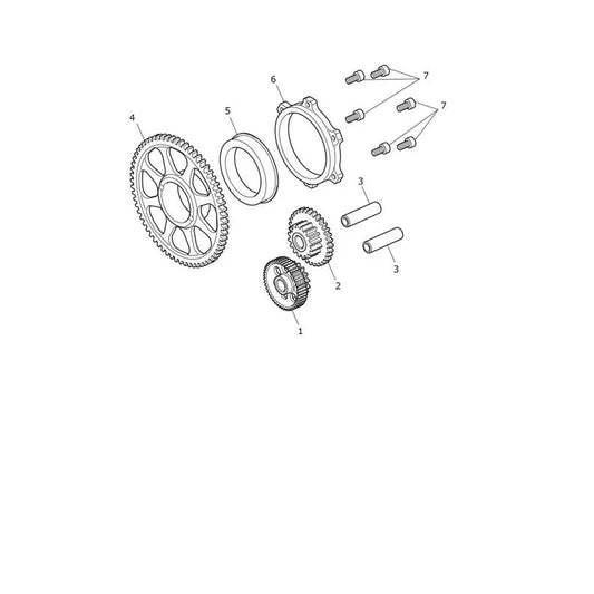 Pignons de Démarreur Tiger 1200 Desert Micro-Fiche