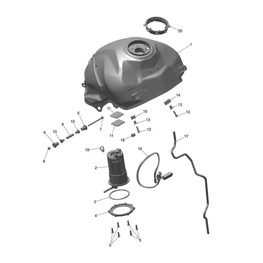 Réservoir Carburant Tiger Sport 660 à partir de CN4034 Micro-Fiche