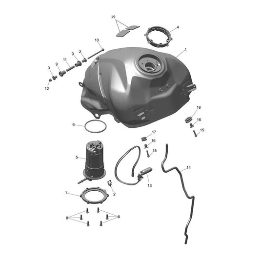 Réservoir Carburant Tiger Sport 800 Micro-Fiche