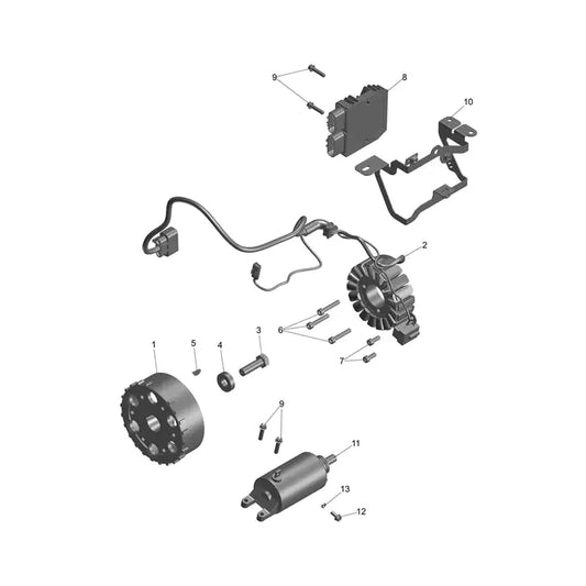 Starter Alternateur Tiger Sport 800 Tour Micro-Fiche