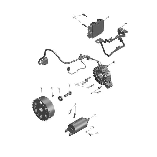 Starter Alternateur Tiger Sport 800 Micro-Fiche