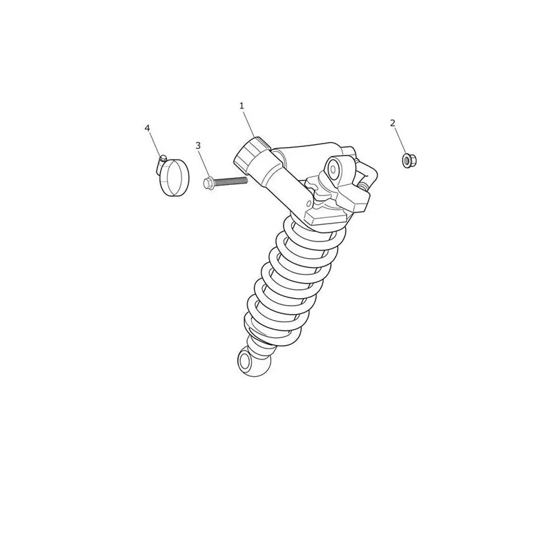 Suspension Arrière Tiger Explorer XC (VIN jusqu’au 740276) Micro-Fiche