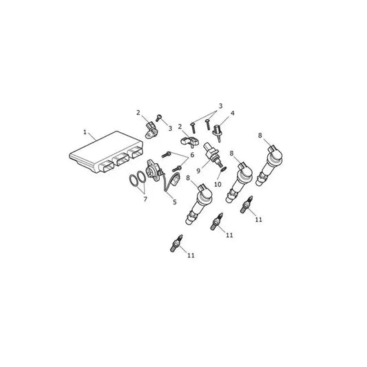 Système de Gestion Moteur Speed Triple 1200 RS VIN jusqu'au CD3147 Micro-Fiche