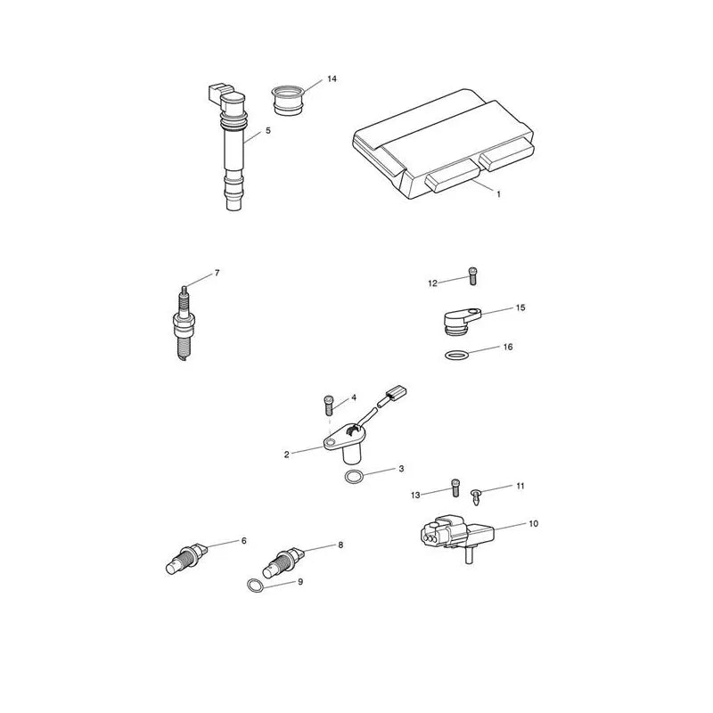 Système de Gestion Moteur Tiger Sport 1050 VIN 570059 à 750469 Micro-Fiche