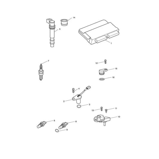 Système de Gestion Moteur Tiger Sport 1050 VIN 570059 à 750469 Micro-Fiche