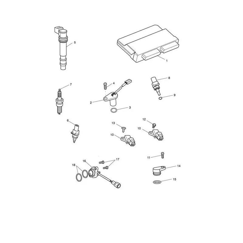 Système de Gestion Moteur Tiger Sport 1050 VIN à partir de 750470 Micro-Fiche