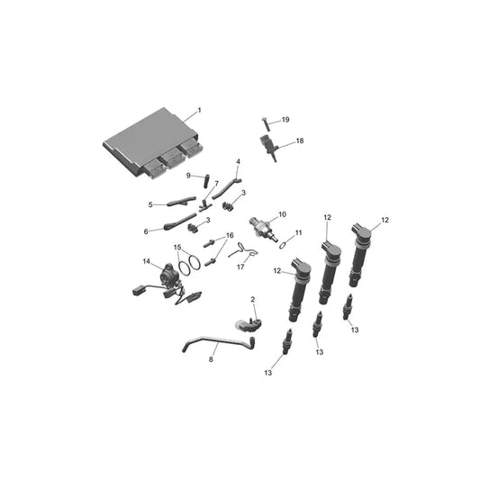 Système de Gestion Moteur Tiger Sport 660 à partir de CN4034 Micro-Fiche