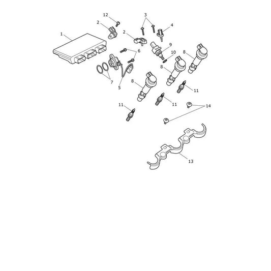 Gestion Moteur Tiger 1200 Alpine Micro-Fiche