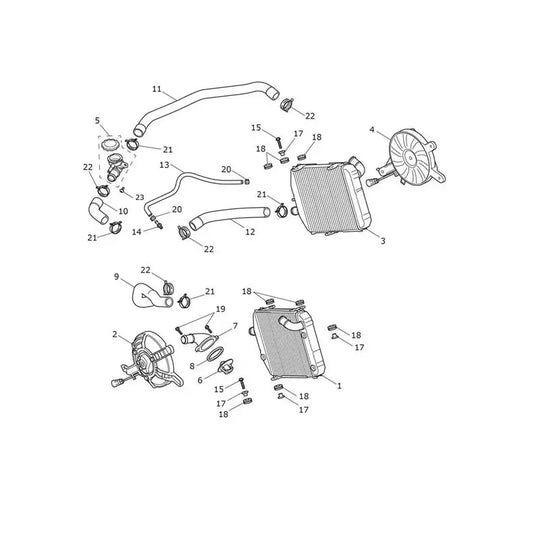 Système Refroidissement Radiateur Tiger 1200 Rally Pro Micro-Fiche