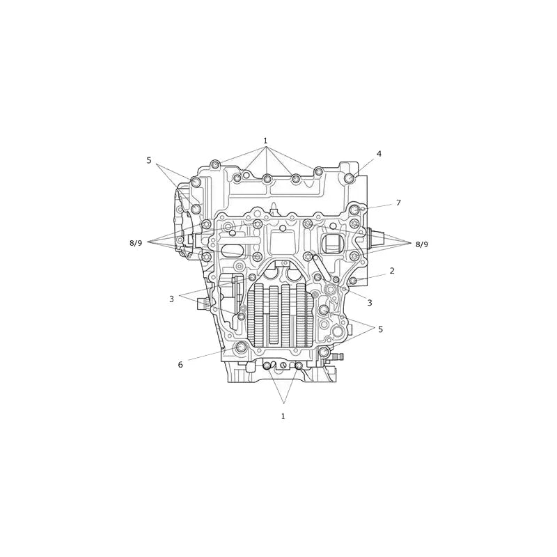 Vis de Carter Moteur Speed Triple 1200 RR Micro-Fiche