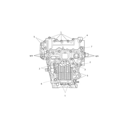 Vis de Carter Moteur Speed Triple 1200 RR Micro-Fiche