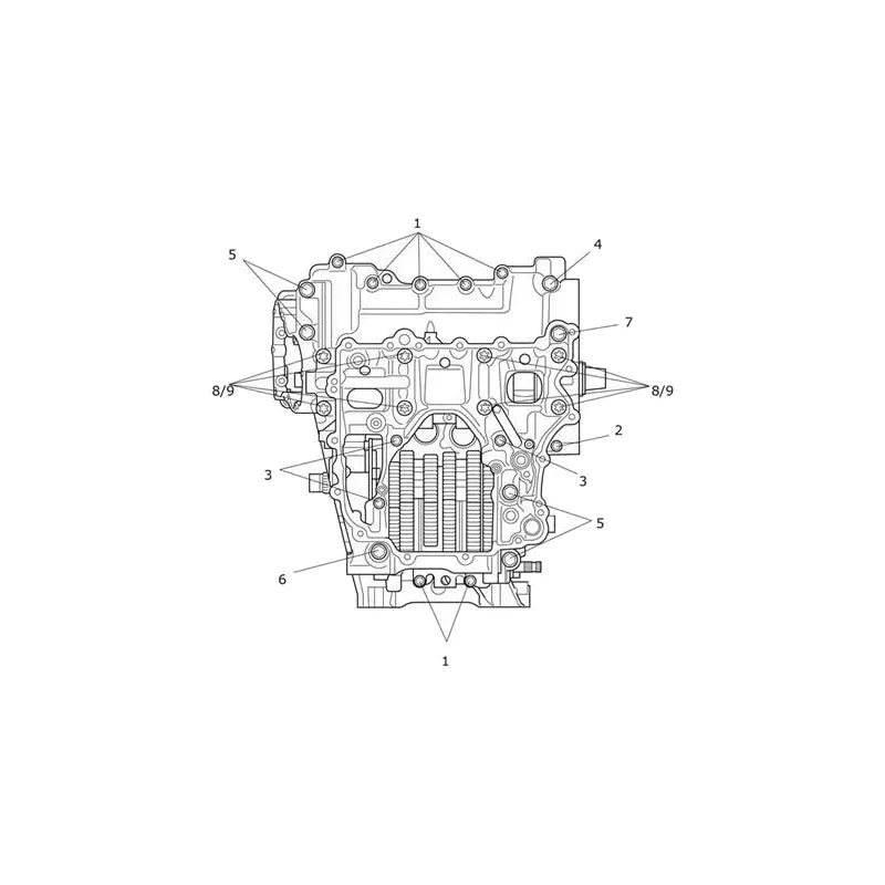 Vis de Carter Moteur Speed Triple 1200 RX Micro-Fiche