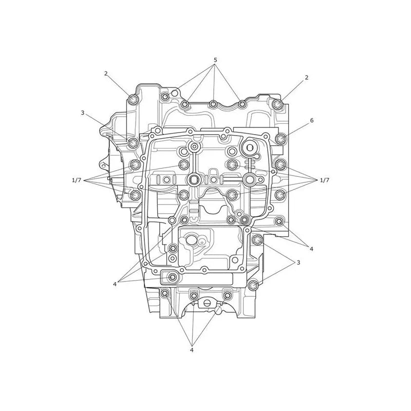 Vis de Carter Moteur Tiger 900 Desert Micro-Fiche