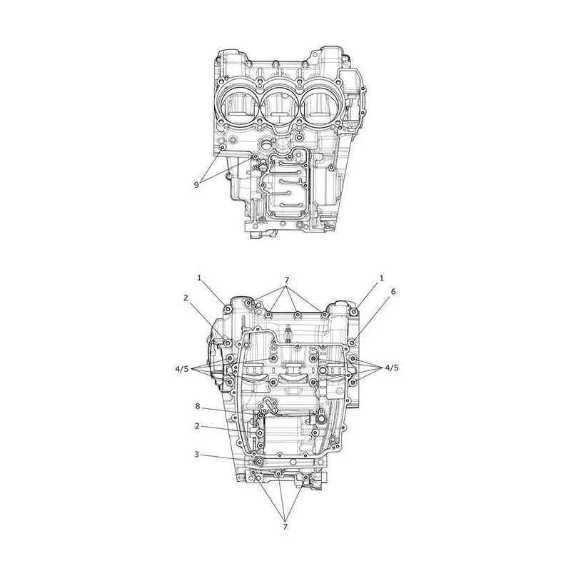 Vis de Carter Moteur Tiger Explorer XC (VIN à partir de 740277) Micro-Fiche