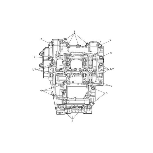 Vis de Carter Moteur Tiger Sport 660 à partir de CN4034 Micro-Fiche