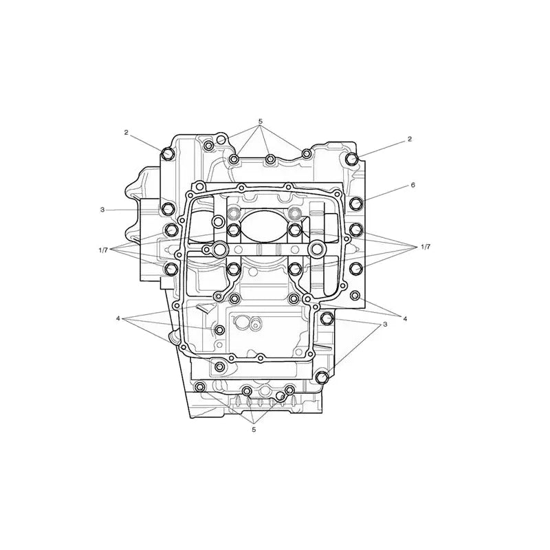Vis de Carter Moteur Tiger Sport 800 Tour Micro-Fiche