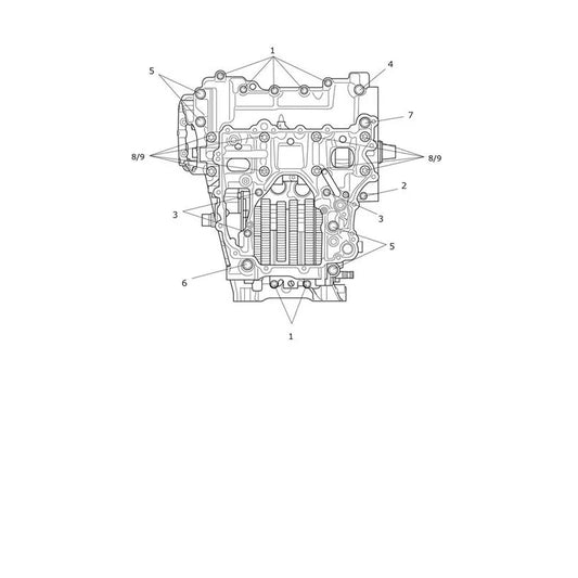 Vis de Carter Moteur Tiger 1200 Alpine Micro-Fiche