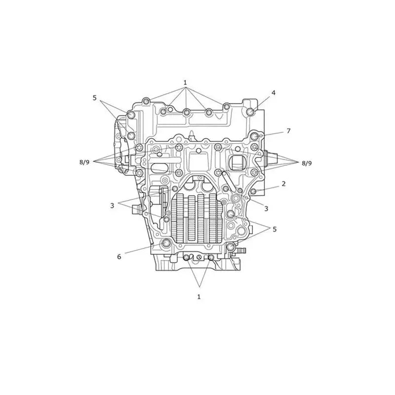 Vis de Carter Moteur Tiger 1200 Desert Micro-Fiche