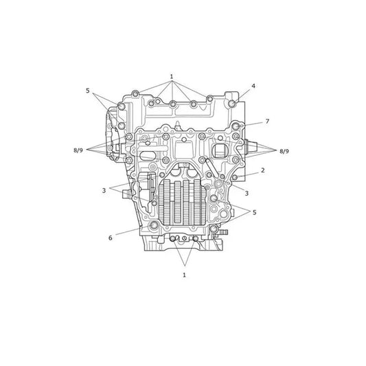 Vis de Carter Moteur Tiger 1200 Desert Micro-Fiche