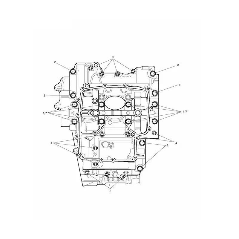 Vis de Carter Moteur Trident 800 Micro-Fiche